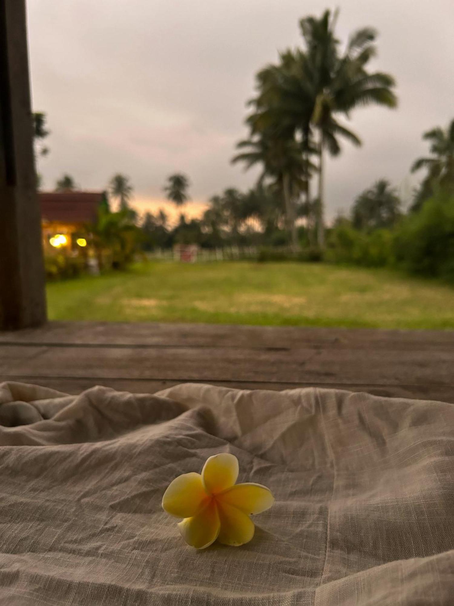 Linkgreen Homestay Tetebatu Luaran gambar