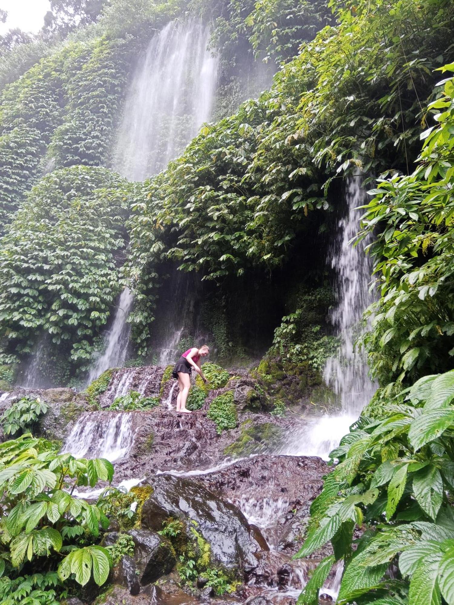 Linkgreen Homestay Tetebatu Bilik gambar