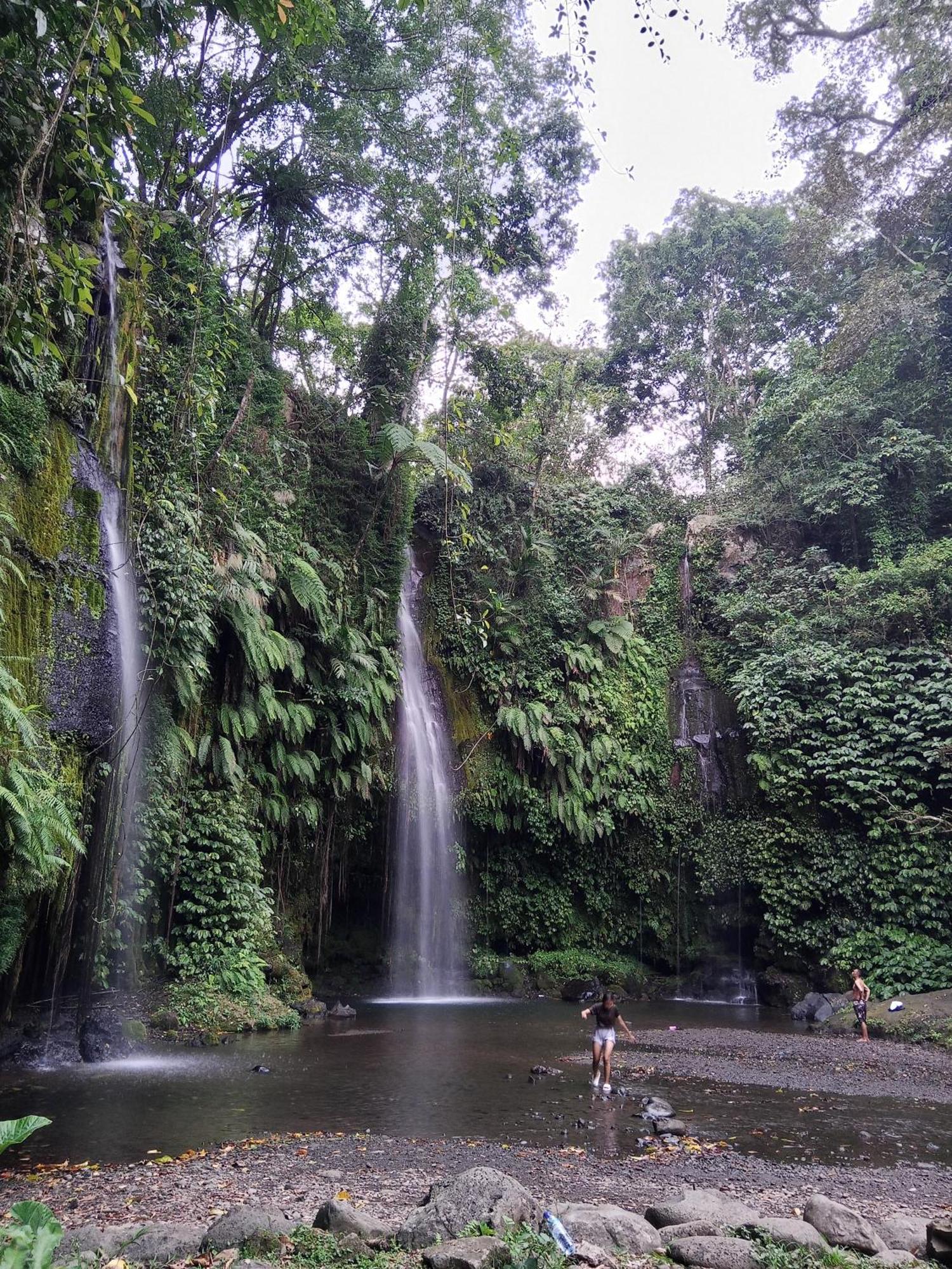 Linkgreen Homestay Tetebatu Bilik gambar