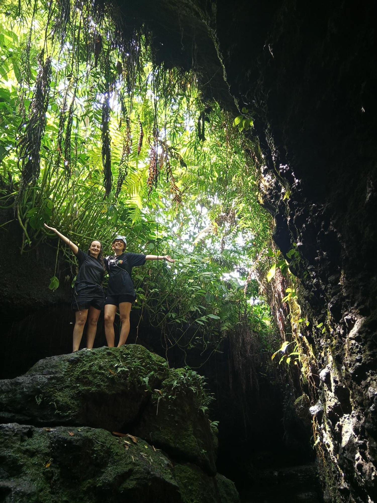 Linkgreen Homestay Tetebatu Bilik gambar